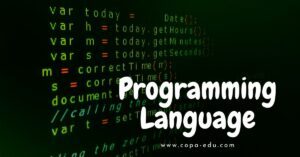 programming-language-in-hindi